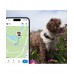 Tractive TRDOG6BK GPS Pet Tracker Σκύλου Black (Τεμάχιο)