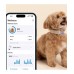 Tractive TRDOG6BR GPS Pet Tracker Σκύλου Brown (Τεμάχιο)