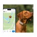 Tractive TRDOG6BR GPS Pet Tracker Σκύλου Brown (Τεμάχιο)