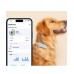 Tractive TRDOG6MT GPS Pet Tracker Σκύλου Mint (Τεμάχιο)