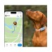 Tractive TRDOG6MT GPS Pet Tracker Σκύλου Mint (Τεμάχιο)