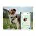 Tractive DOG 6 XL Black Smart GPS Pet Tracker Σκύλου
